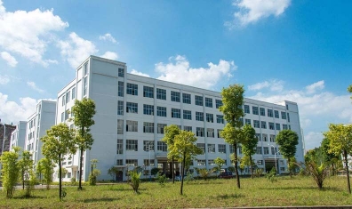 石家庄红杏在线免费视频红杏永久免费直播